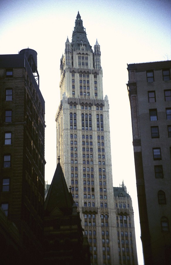 The Woolworth Building (115K)